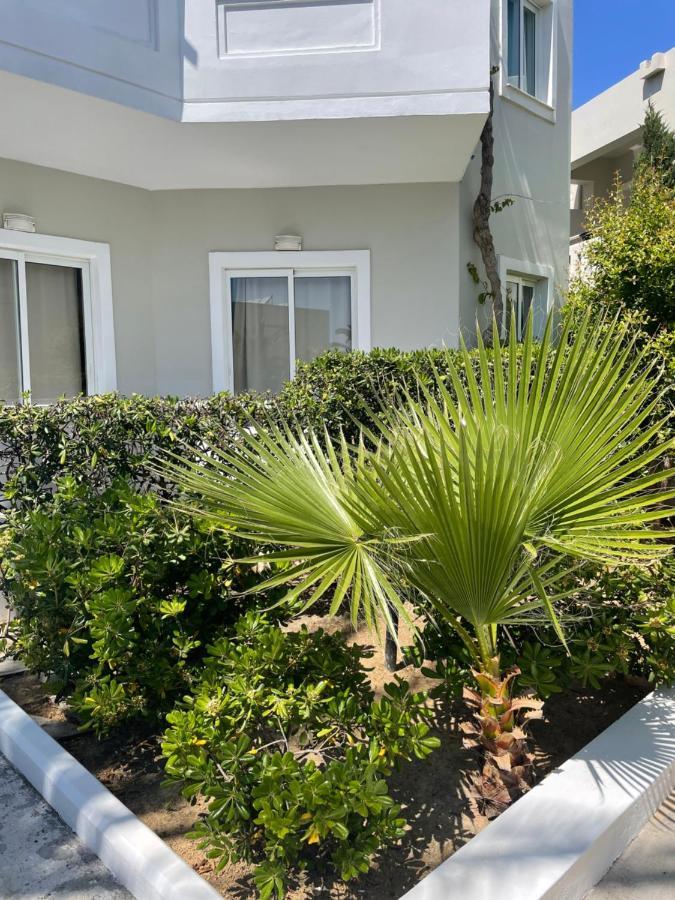 Ninemia Beach Hotel & Suites Agia Marina Buitenkant foto