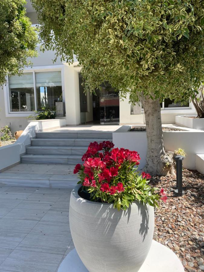 Ninemia Beach Hotel & Suites Agia Marina Buitenkant foto